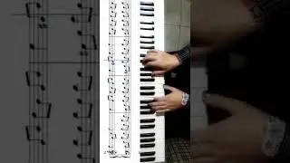 THE MEADOW  - (FROM THE TWILIGHT SAGA NEW MOON ) Piano Score/Partitura