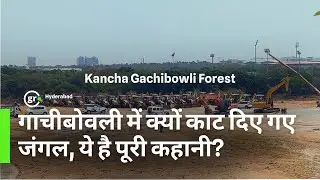 Save Gachibowli Forest: HCU Students Lead the Fight for Hyderabad's Lungs | Explained