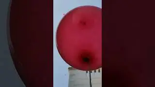 Flying Balloon🎈🎈🎈 || Flying Gas balloons || How many balloons 🥰🥰🥰|| World AIDS day 2023 special ❤️❤️