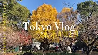 【东京散步】东京的12月｜上野公园｜圣诞市集｜跳蚤市场｜古董市集｜银杏树｜秋日的东京