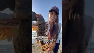 Sculpin Size Limit and Bag Limit #fishinglaws #fishing #fishinggirl #fishinglife #californiafishing