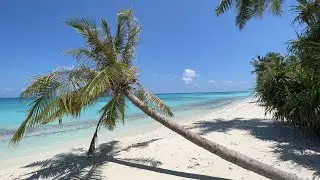 The Most Relaxing Waves Ever - 10 hours of Ocean Sounds to Sleep, Study and Chill
