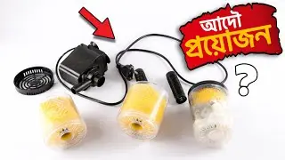 আদৌ কি অ্যাকুয়ারিয়ামে ফিল্টার লাগানোর প্রয়োজন থাকে❓|| Inside Aquarium