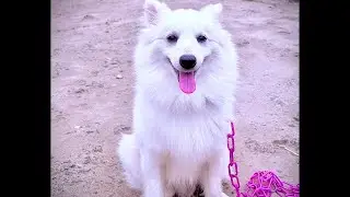 Mentioned you on livestream