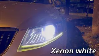 &Scaron;koda Octavia 3  How to Upgrade Xenon headlight to cold white beam