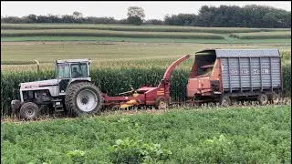 Getting the FP230 and the corn head dialed in!