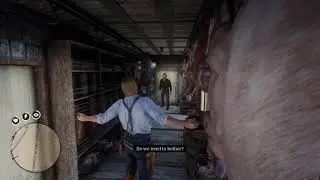 putting Anders Anderson to sleep - red dead redemption 2