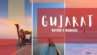 Exploring Gujarat&rsquo;s Natural Beauty | Must-Visit Places #gujarat #exploreindia #travelindia #nature