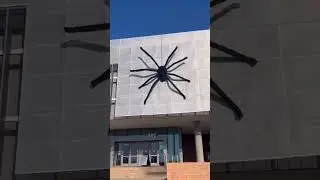 Spooky season on campus