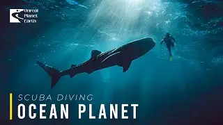 Diving into Another World | Unreal Underwater Paradises You Won&rsquo;t Believe Exist