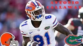 II Antonio Callaway College Career Highlights II Cleveland Browns 4th Round Selection