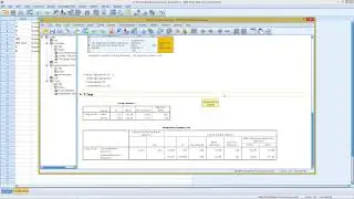 SPSS - Homogeneity Test