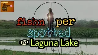 Fish hunting at Laguna lake using air gun #lagunalake #fishing