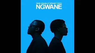Frigid Armadillo. Mthunzi, kenza -  Ngwane (Official Audio)