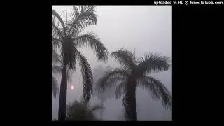 rain - whirr + quannnic + deftones + heavy shoegaze type beat