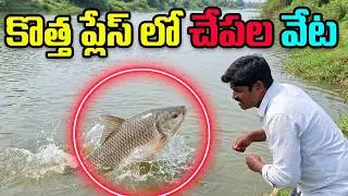 మూడు రోజులు ఒక్కొక్క లొకేషన్లో పిండితో రవ్వ చేపలు పట్టినం Amazing place in Krishna river