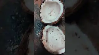 Making Coconut Bowls tiktok caysi meyer