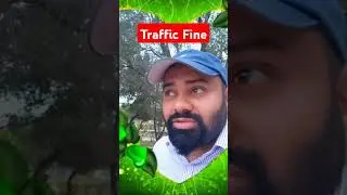 Kuwait Traffic fine #trending #shorts