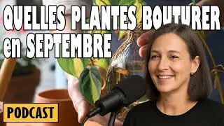 QUELLES PLANTES BOUTURER en SEPTEMBRE❓#podcast #jardin