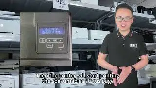 How to print consumables status page from panel for the Lexmark MS331dn 55B2000
