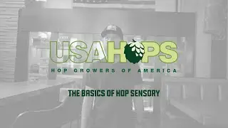 Hop Sensory & Selection Basics with Matt Brynildson