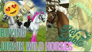 BUYING NEW HORSES | JORVIK WILD HORSE | Ida Shadowsmith