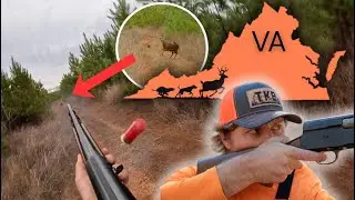 I Folded One In The Virginia Hills!! (Dogs Burnin&rsquo; Em&rsquo; Up) 