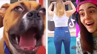 The Most Popular TikToks You Should Watch