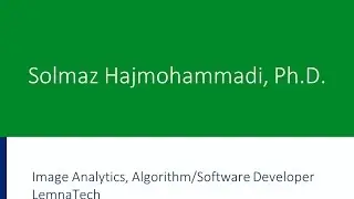 Solmaz Hajmohammadi, Ph.D., image analytics, algorithm/software developer, LemnaTech