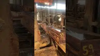 Sawing Curupay Wood