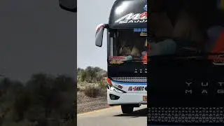bus #travel #cricketlover #cricketlover #viralvideo #viralvideo #foryou #foryou #viralshort #fypシ゚vi