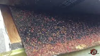 Huge Construction Gap in a Roof