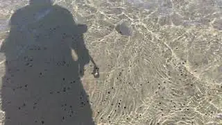 Double island point 