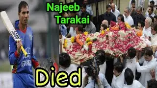 Afghanistan National Cricket Team Player || Najeeb Tarakai Accident 😢 Death