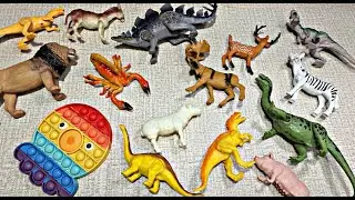🐹 ASMR_Video * This is Really Huge Wild Animals Toy I No Talking *