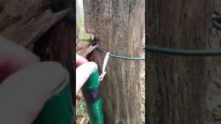 Geocache Versteck
