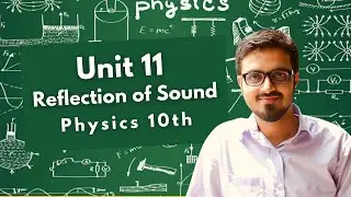 Reflection of Sound (Echo) | Unit 11 | Physics | Class 10th | TuitionX