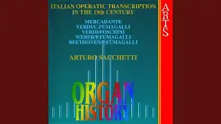 Omaggio a bellini
