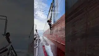 job of a ship pilot #automobile #pilot #shorts #shipping #trending #valentinesday