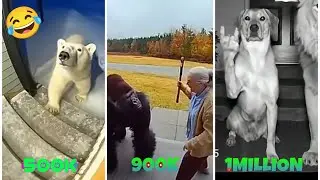 FUNNY ANIMALS THAT BROKE THE INTERNET