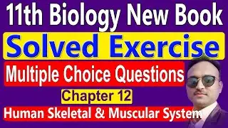 11 Biology Solved Exercise MCQs Questions Chapter 12 Human Skeletal & Muscular System | 11th Biology