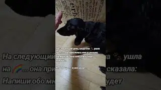 БУДУ ПИСАТЬ КНИГУ
