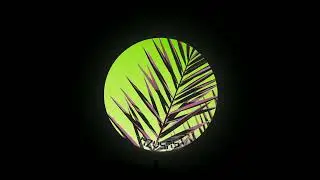 NZVSMST - 