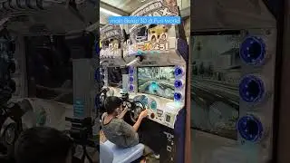Main Balap 3D Max di Fun World Tunjungan Plaza Surabaya @damarmisterius