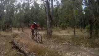 Downhill talca verano !!!