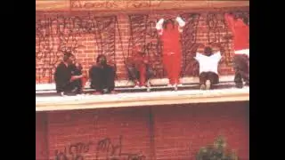 Bloods - Crenshaw Mafia