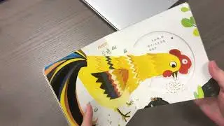 Board Book Manufacturer in China for Independent Authors & Children&rsquo;s Book Brands