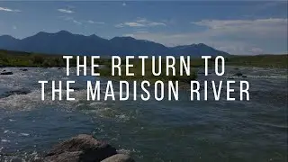 Return to Montana | Fly Fishing the Madison River