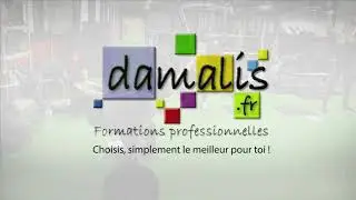 BP JEPS AF chez Damalis &agrave; Pau