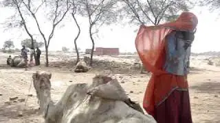 Camel Team at Help In Suffering